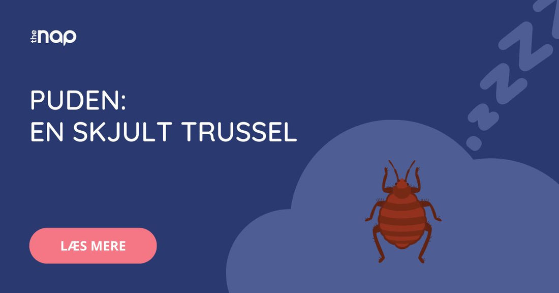 Hvad gemmer sig i din pude?